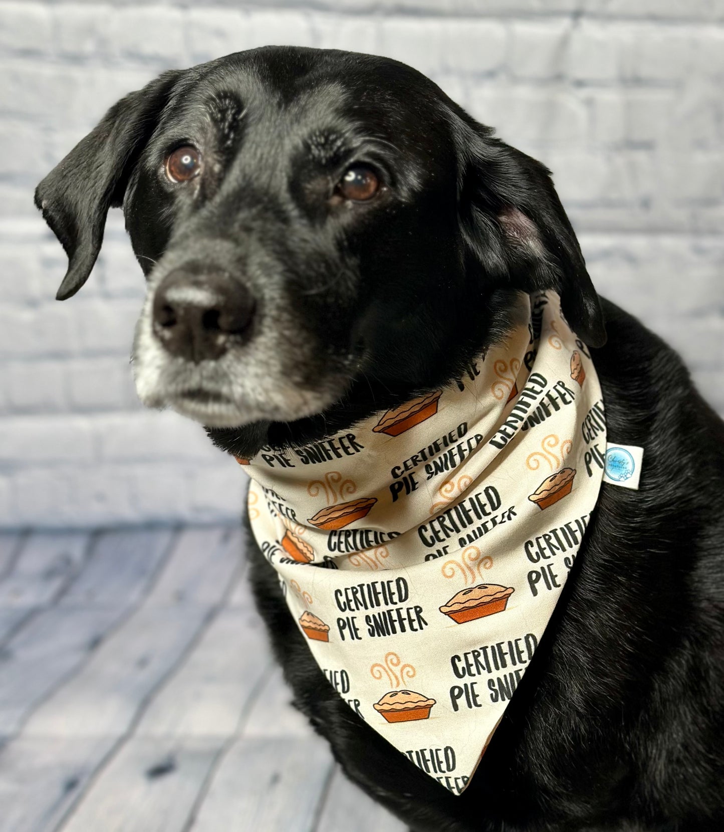 Turkey Taster Reversible Scrunchie Bandana
