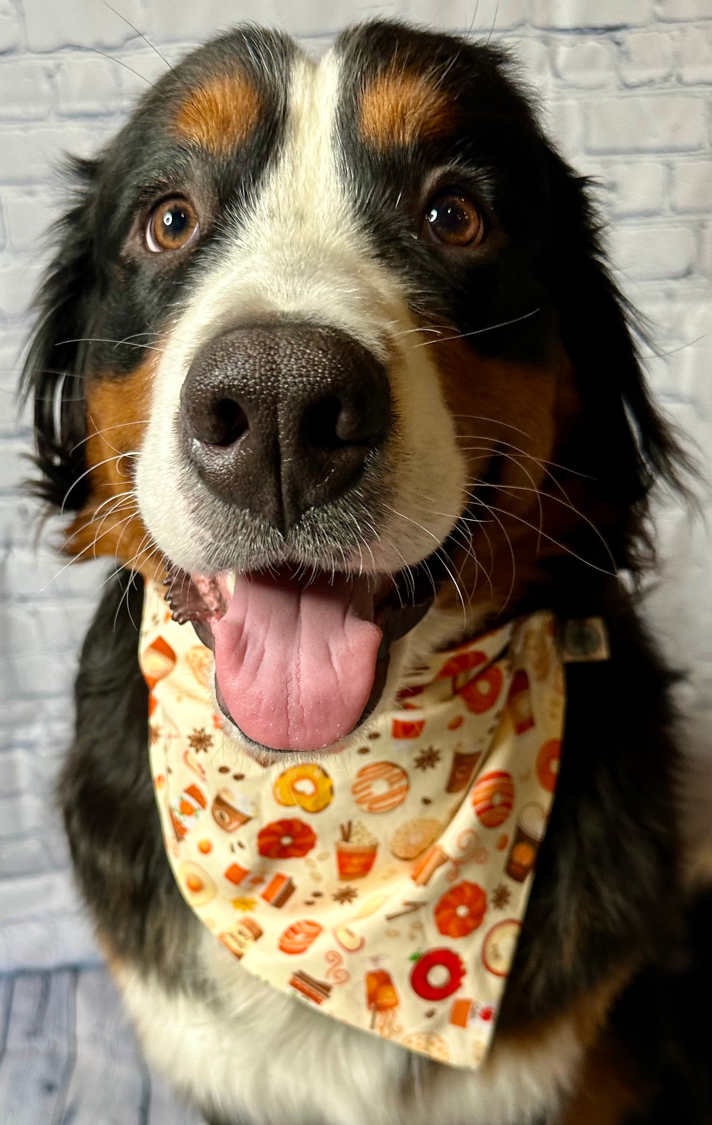 Pumpkin Spice Reversible Scrunchie Bandana