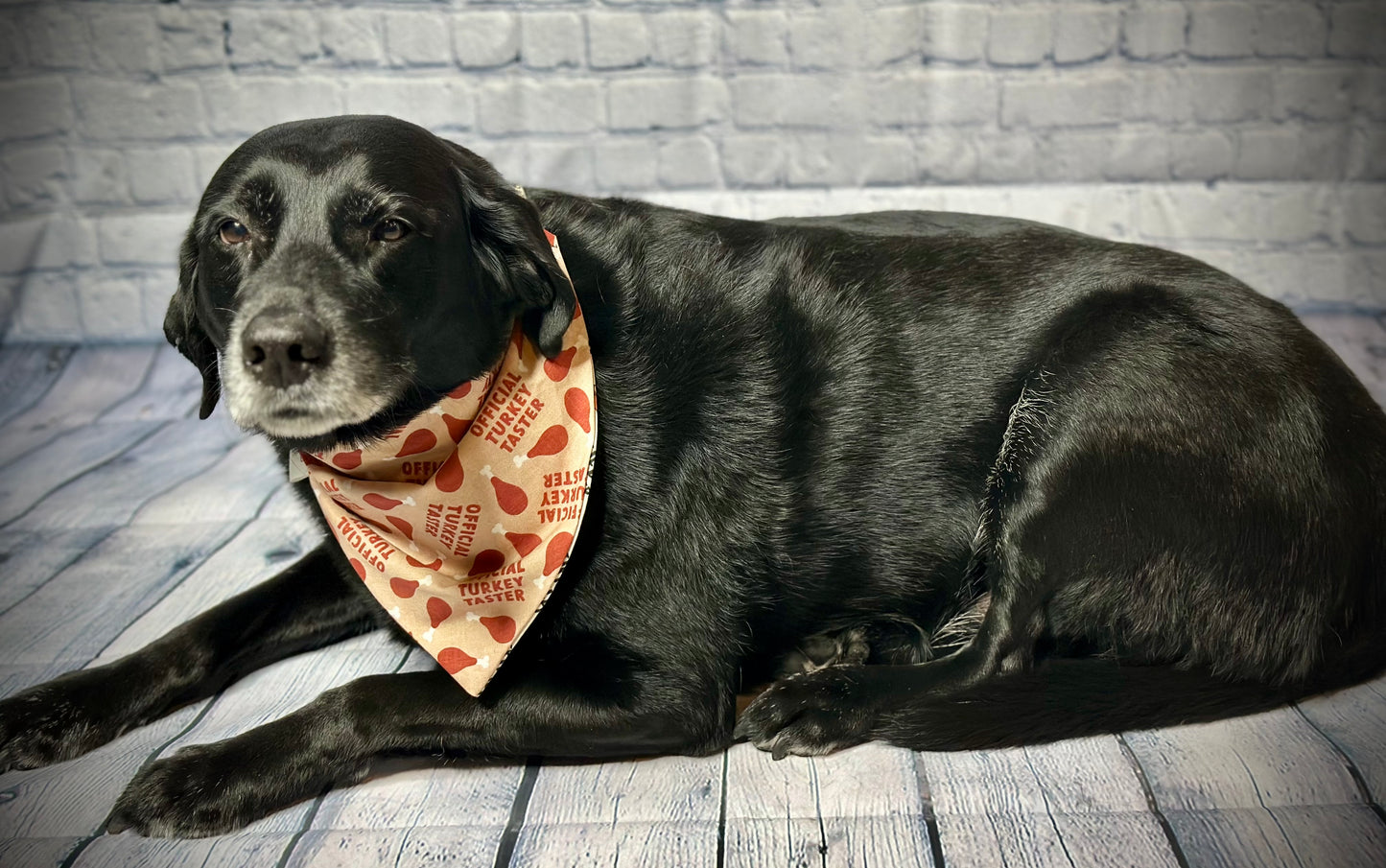 Turkey Taster Reversible Scrunchie Bandana