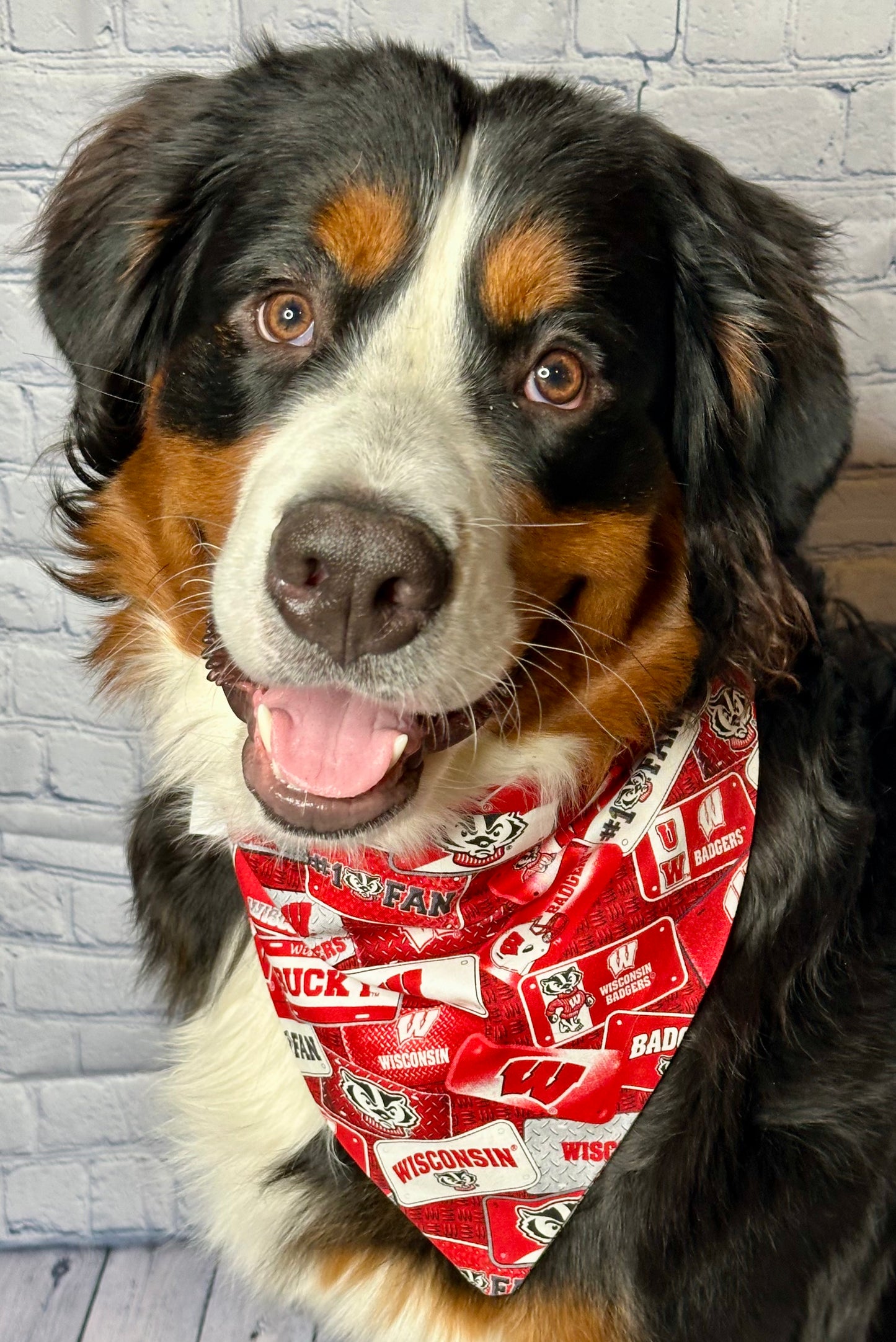 Wisconsin Badgers Reversible Scrunchie Bandana