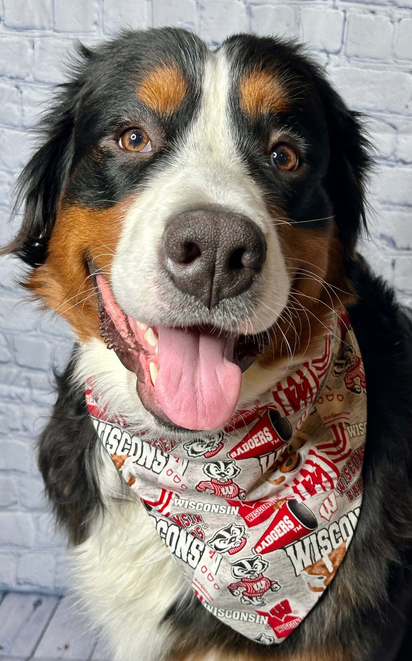 Wisconsin Badgers Reversible Scrunchie Bandana