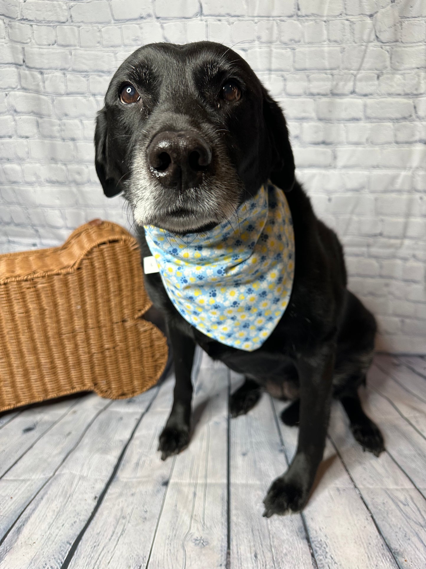 Field of Daisies Reversible Scrunchie Bandana
