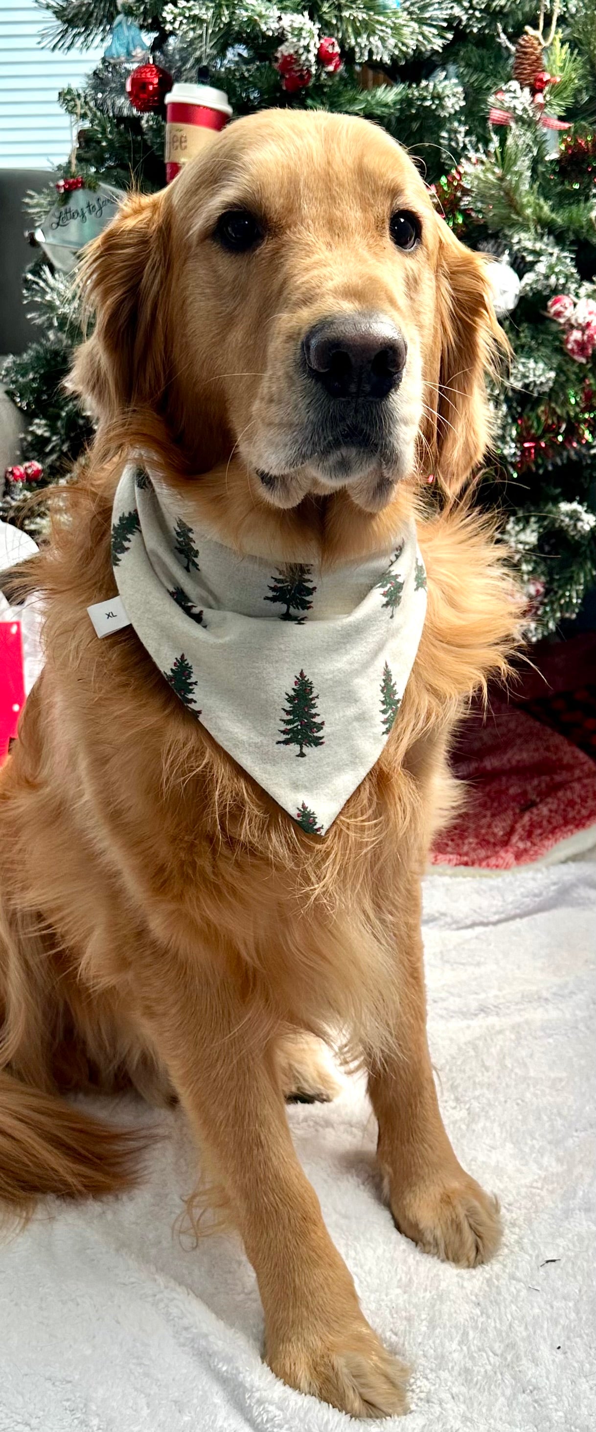 Christmas Tree Reversible Scrunchie Bandana