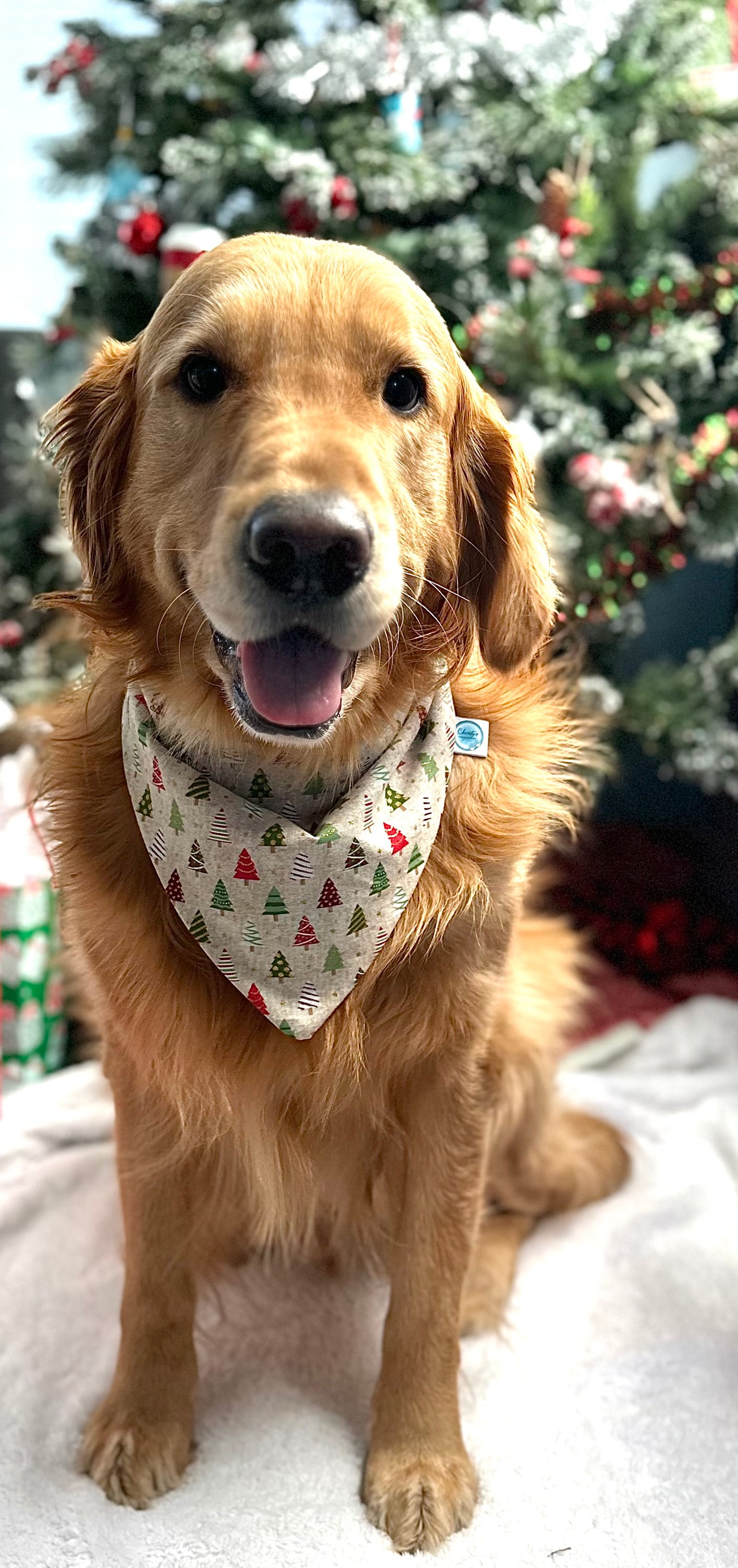 Christmas Cookie Reversible Scrunchie Bandana