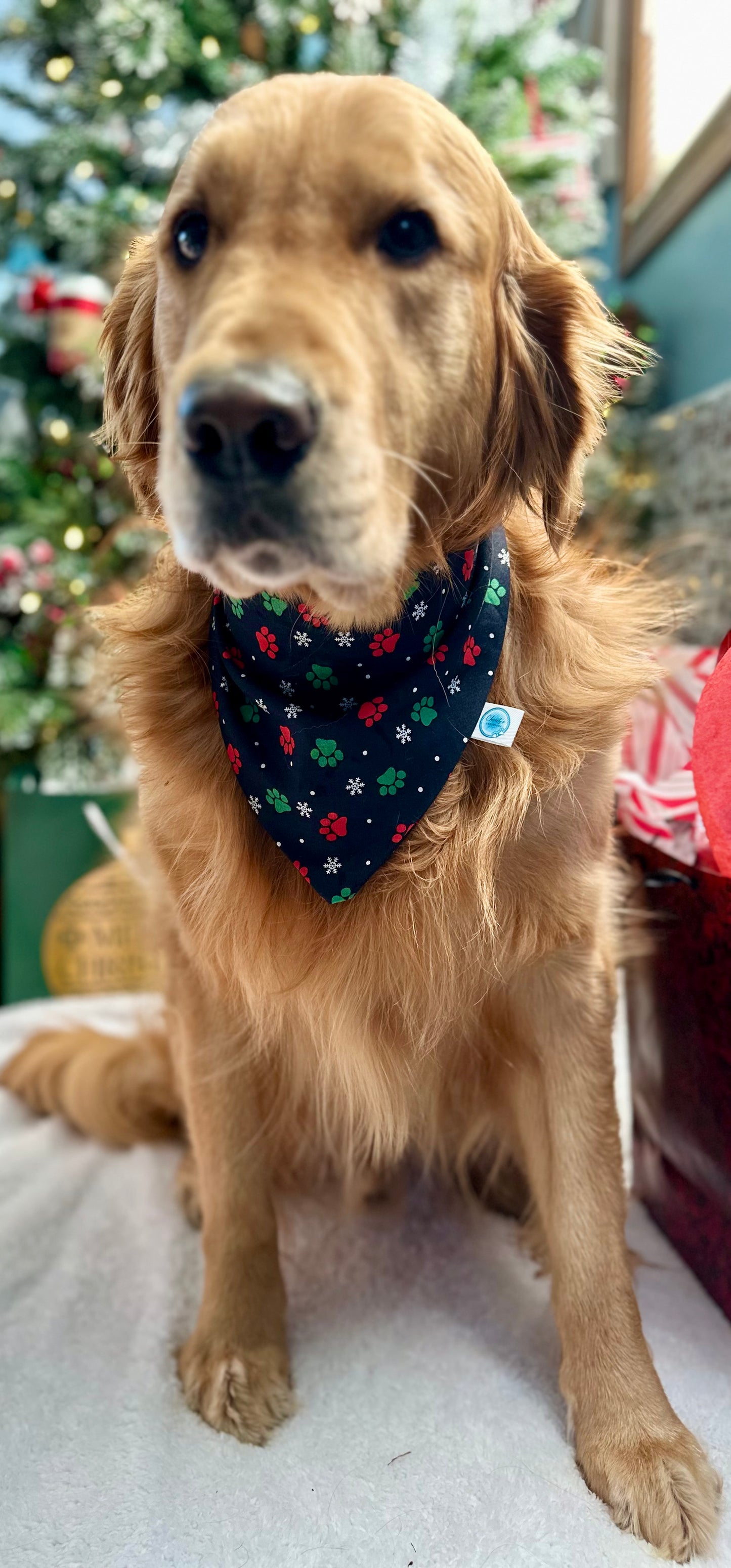Christmas Tree / Paw Print Reversible Scrunchie Bandana