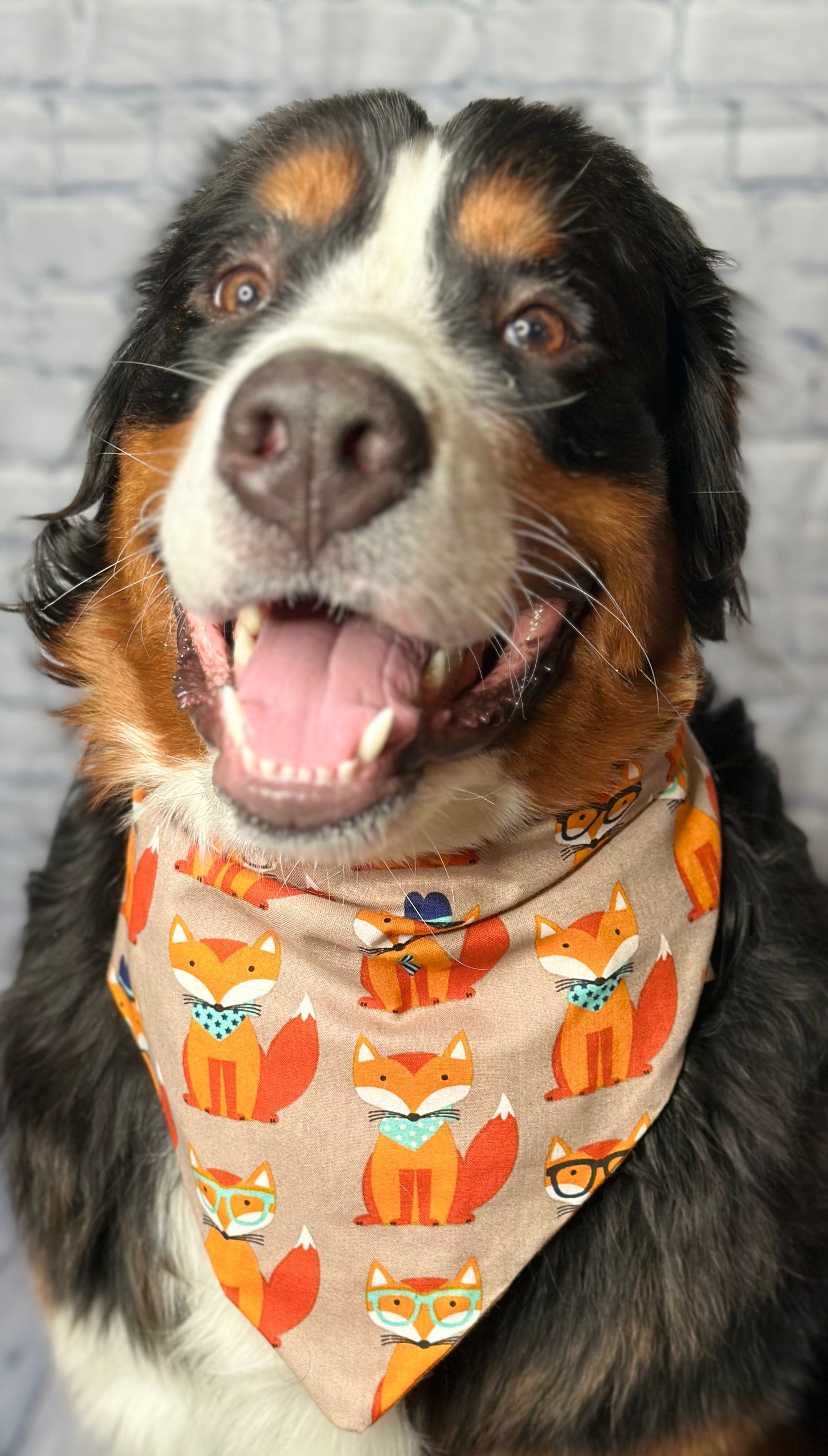 Fox Reversible Scrunchie Bandana