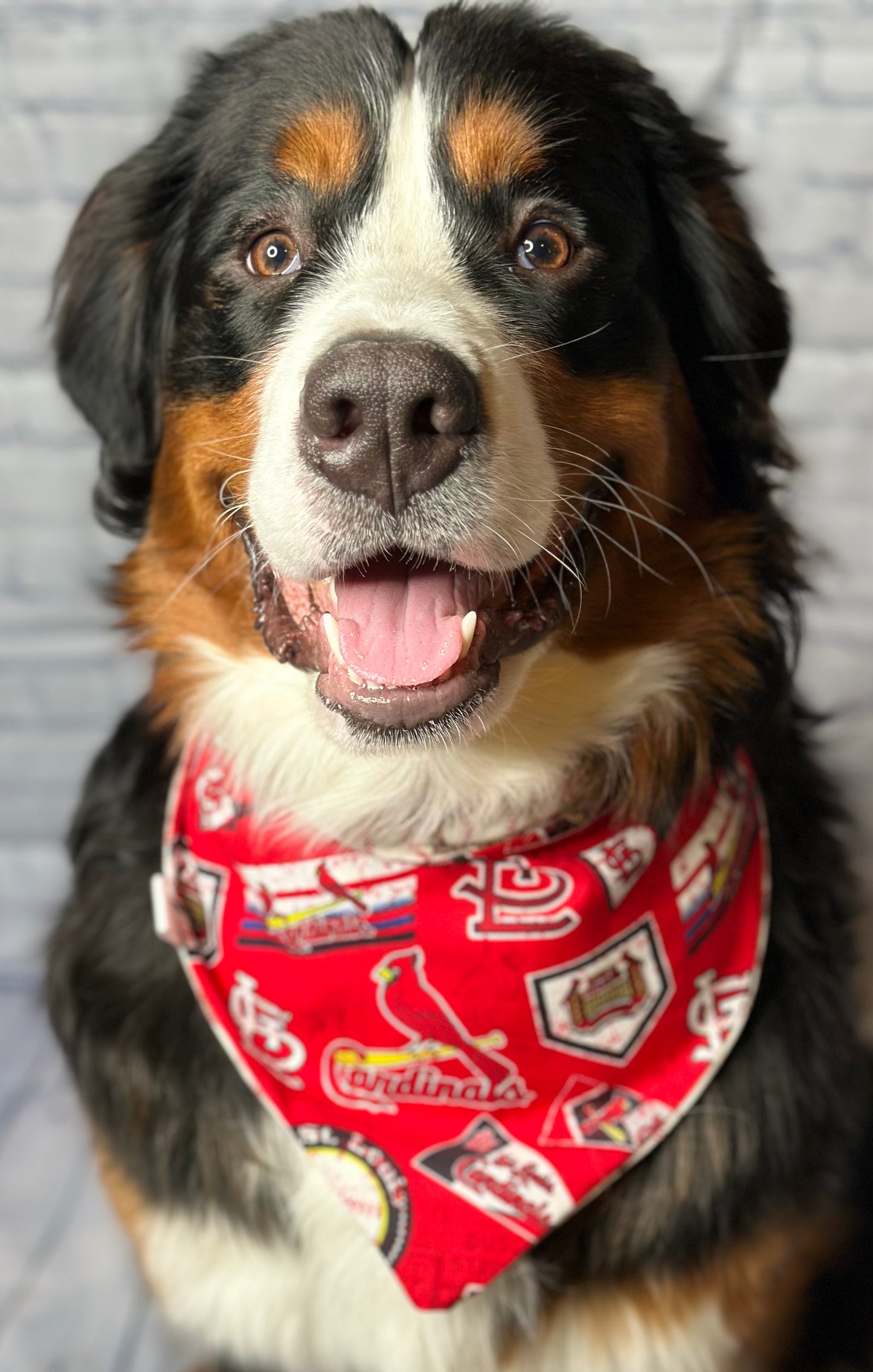 Cardinals Baseball Reversible Scrunchie Bandana