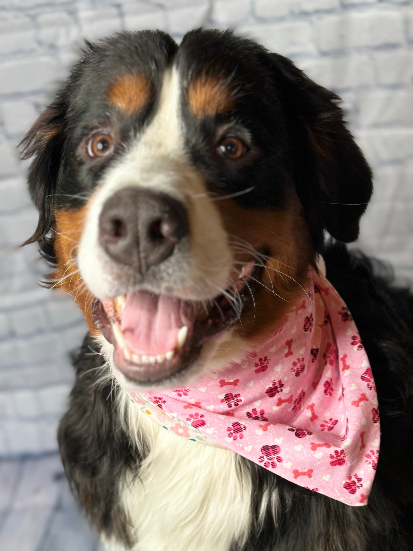 Through the Flowers Reversible Scrunchie Bandana