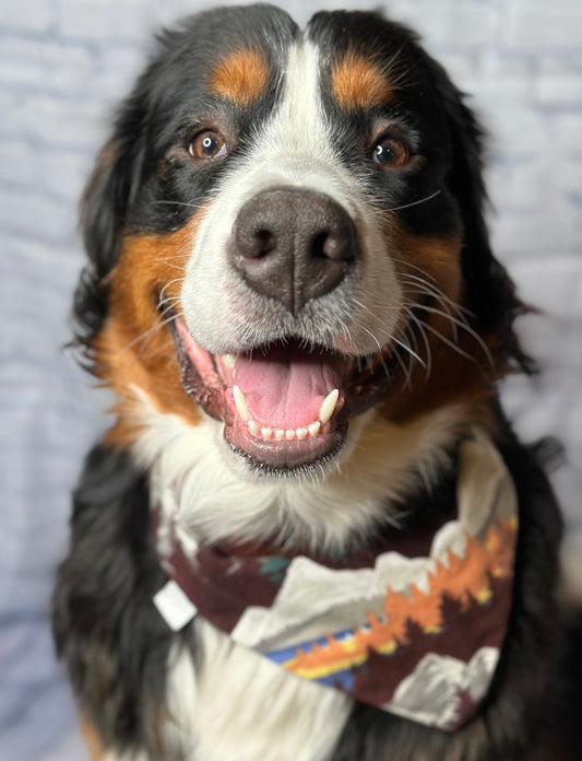 Mountain Reversible Scrunchie Bandana