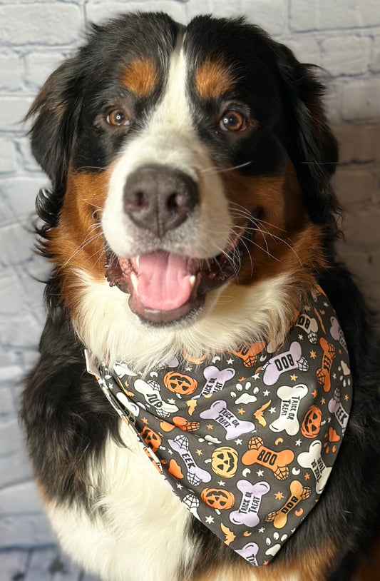 Trick or Treat Reversible Scrunchie Bandana