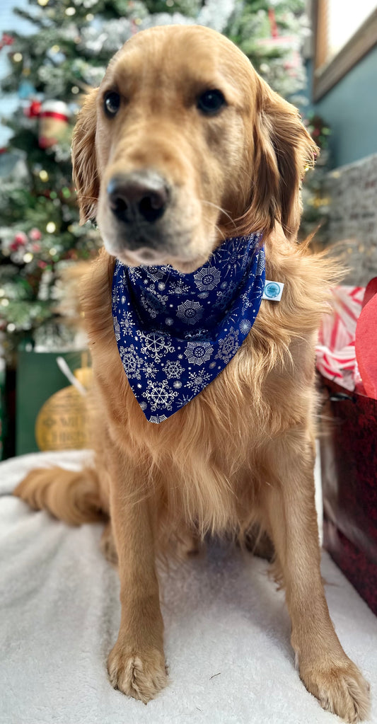 Blue and Silver Reversible Scrunchie Bandana