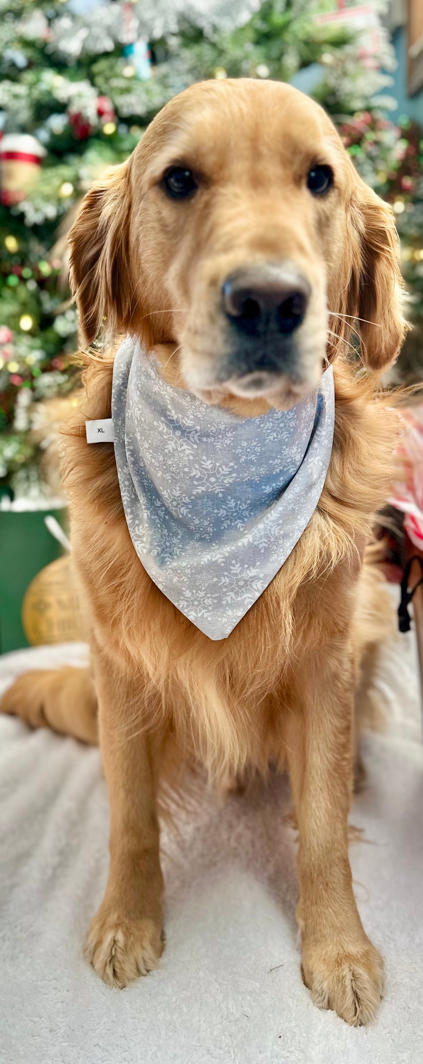 Blue and Silver Reversible Scrunchie Bandana